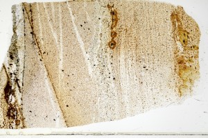 Plane Polarized, S70235