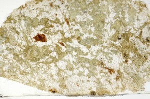 Plane Polarized, S70236