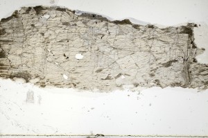 Plane Polarized, S70244