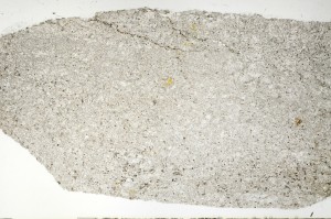 Plane Polarized, S70249