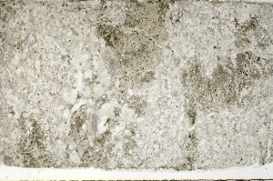 Plane Polarized, S70253