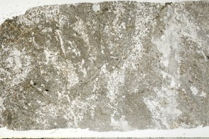 Plane Polarized, S70254