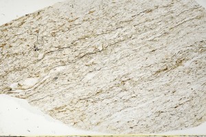 Plane Polarized, S70258