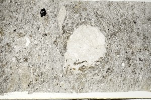 Plane Polarized, S70259