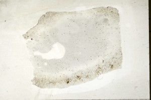 Plane Polarized, S70264/A