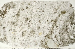 Plane Polarized, S70266