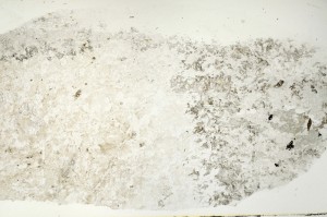 Plane Polarized, S70268