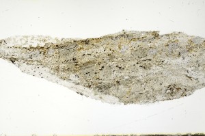 Plane Polarized, S70284