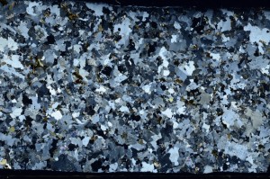 Cross Polarized, S70285