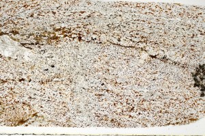 Plane Polarized, S70339