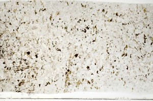 Plane Polarized, S70348
