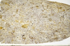 Plane Polarized, S70357