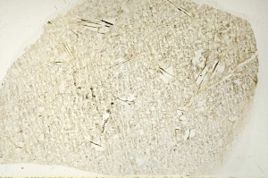 Plane Polarized, S70383