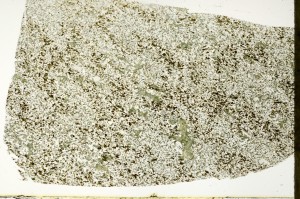 Plane Polarized, S70387
