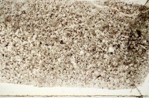 Plane Polarized, S70389