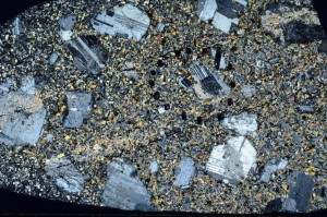 Cross Polarized, S70410