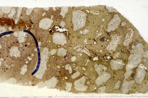 Plane Polarized, S70431