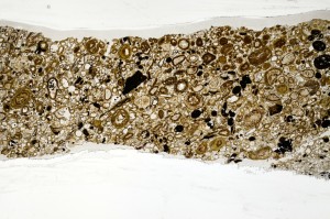 Plane Polarized, S70441/A