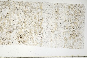 Plane Polarized, S70451