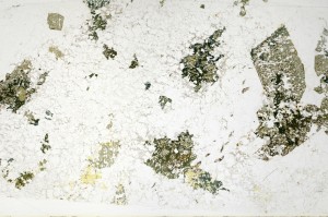 Plane Polarized, S70485/A