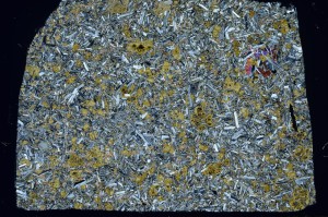 Cross Polarized, S70490