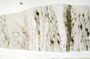 Plane Polarized, S70530