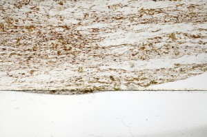 Plane Polarized, S70534