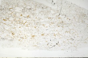 Plane Polarized, S70557