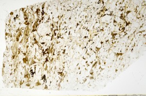 Plane Polarized, S70597