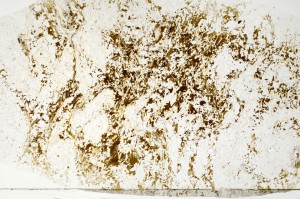 Plane Polarized, S70597/A