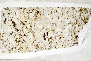 Plane Polarized, S70597/B