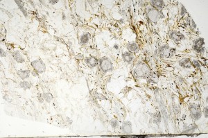 Plane Polarized, S70617