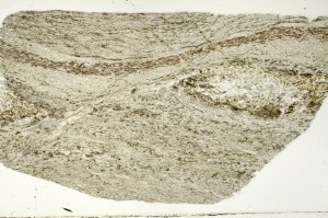 Plane Polarized, S70624