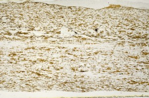 Plane Polarized, S70625