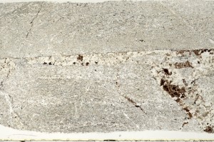 Plane Polarized, S70626