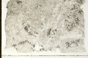 Plane Polarized, S70627