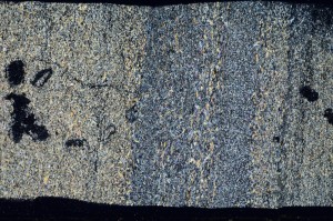 Cross Polarized, S70628