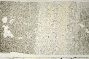 Plane Polarized, S70628