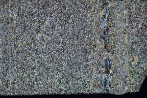 Cross Polarized, S70629