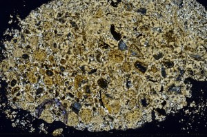 Cross Polarized, S70631