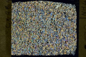 Cross Polarized, S70633