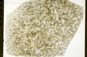 Plane Polarized, S70641