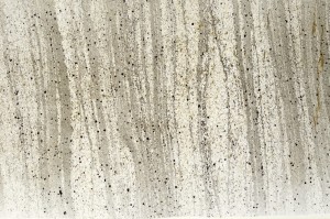 Plane Polarized, S70648