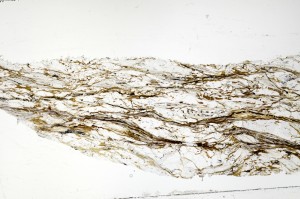 Plane Polarized, S70812