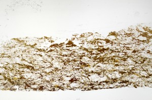 Plane Polarized, S70815