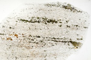 Plane Polarized, S70826
