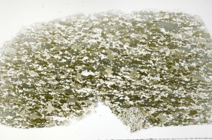 Plane Polarized, S70836