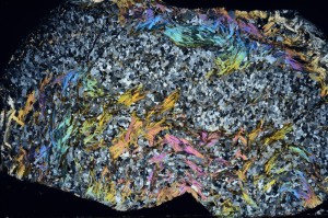 Cross Polarized, S70845