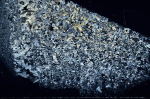 Cross Polarized, S70849