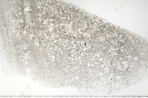 Plane Polarized, S70849